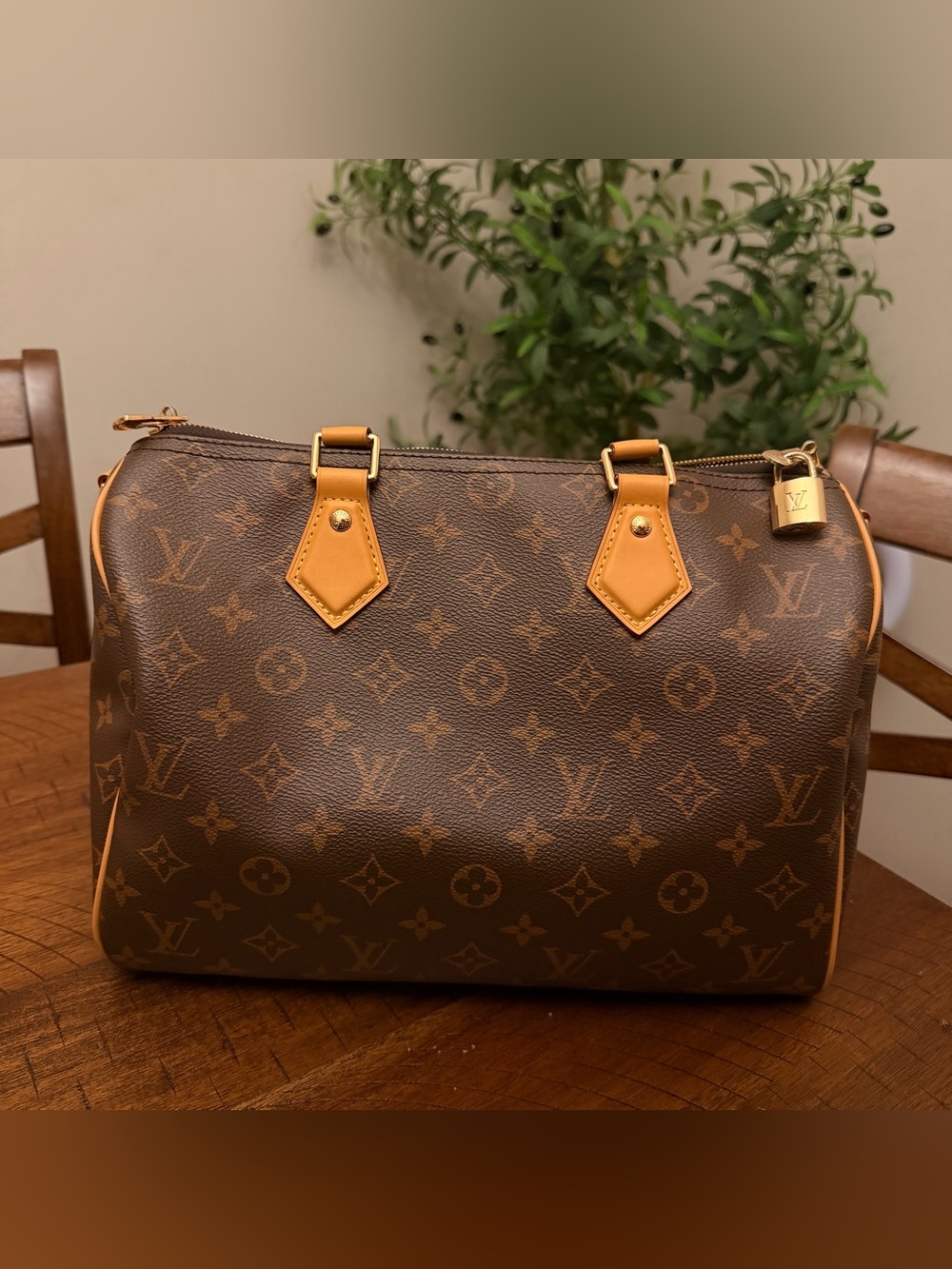 Brown Monogram Satchel with Tan Trim